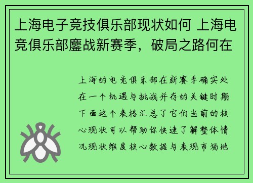 上海电子竞技俱乐部现状如何 上海电竞俱乐部鏖战新赛季，破局之路何在？